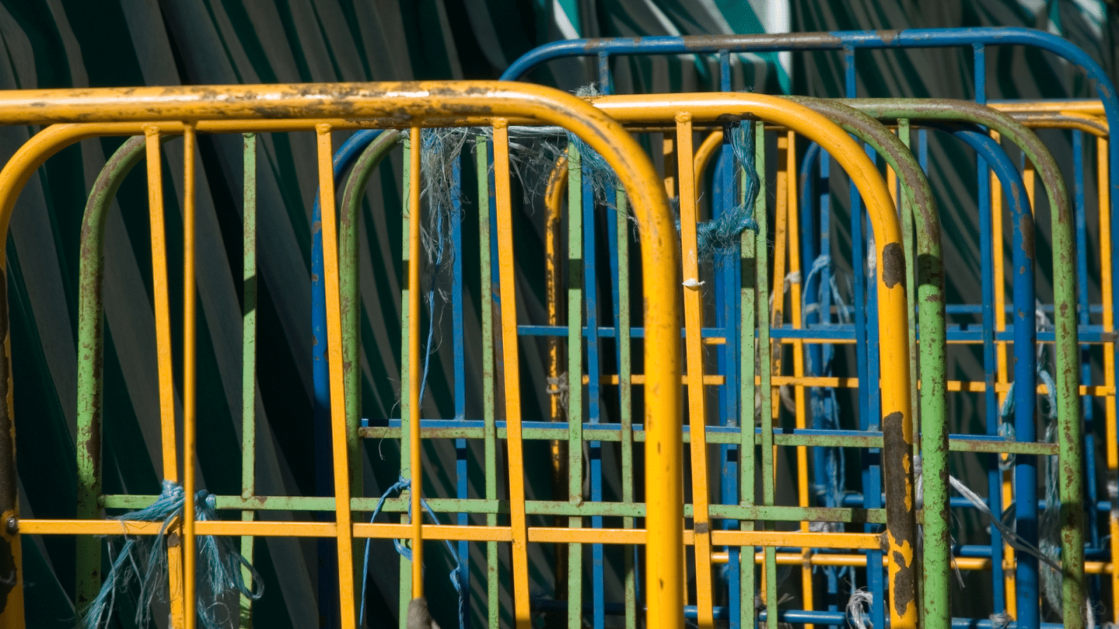 Comment réduire les dommages pendant le transport de marchandises avec un roll-conteneur ?