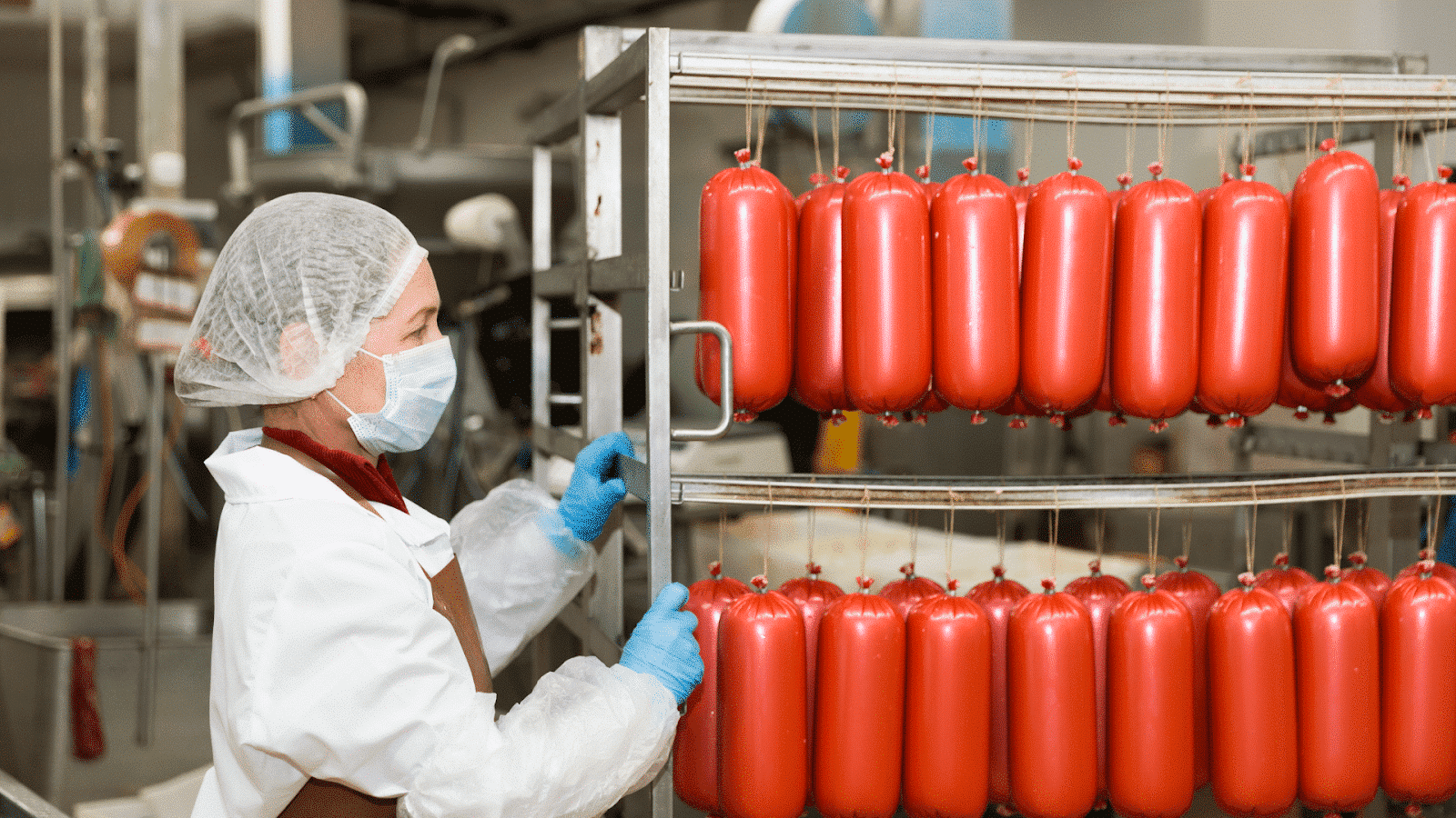 Optimiser la préparation de commande avec des rolls adaptés